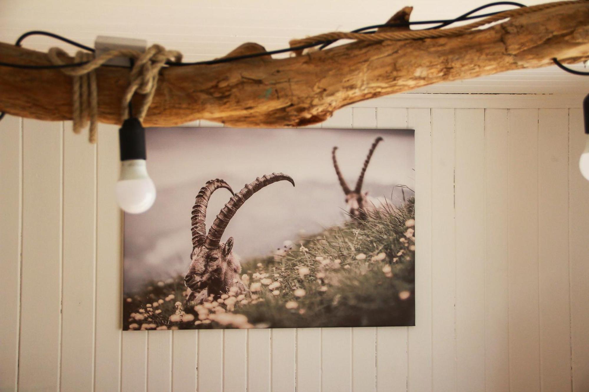 Ferienhaus Zum Klettersteig - Kletterwand, Abstellraum Fuer Ski Oder Bikes, Sauna, Kellerbar, Villa Bürs Buitenkant foto